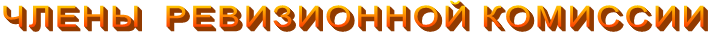 ЧЛЕНЫ  РЕВИЗИОННОЙ КОМИССИИ