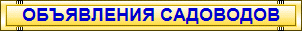 ИНФОРМАЦИЯ, ОБЩЕНИЕ, ОБЪЯВЛЕНИЯ